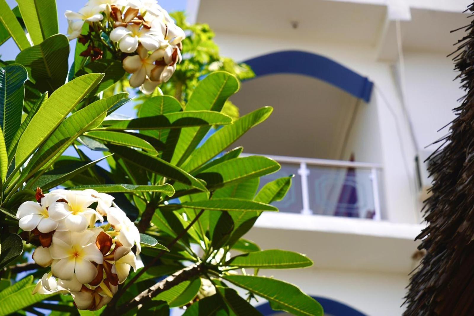 Daeli Apartment Kendwa Dış mekan fotoğraf